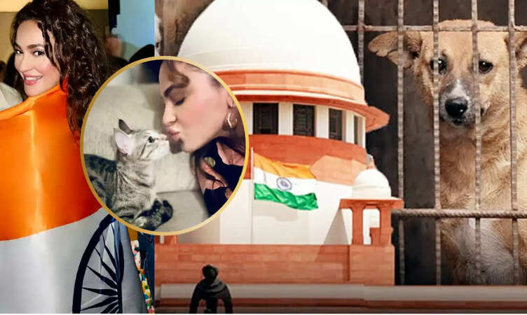 Seerat Kapoor Urges On This 79th Independence Day: &ldquo;If We Truly Value Freedom, Let&rsquo;s Offer It to Stray Animals Too....