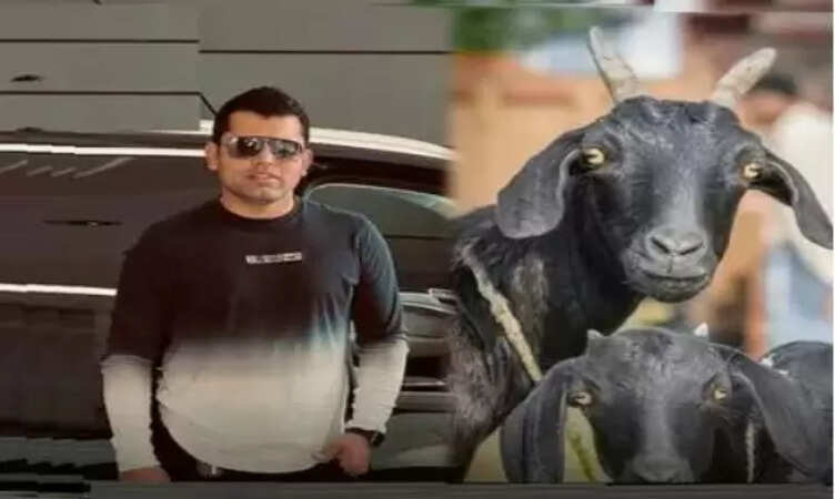 पूर्व पाकिस्तानी क्रिकेटर कामरान अकमल का बकरीद पर हुआ बकरा चोरी, चोरों ने लगाई गजब की चपत