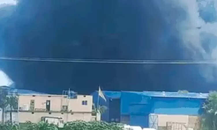 पटना के फतुहा&nbsp;की थर्माकोल फैक्ट्री में लगी भीषण आग,&nbsp;बड़ा हादसा टला, 15 लोगों का किया गया&nbsp;रेस्क्यू&nbsp;&nbsp;