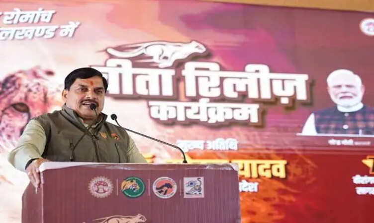 CM मोहन यादव ने दो चीते व्योम और नीरा नौरादेही टाइगर रिजर्व में किये विमुक्त