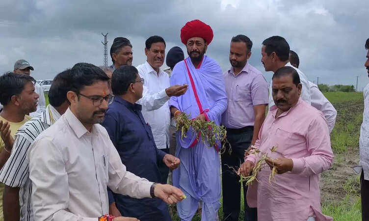 Baran News: प्रभारी मंत्री ओटाराम देवासी ने अतिवृष्टि से फसल खराबे का&nbsp;किया निरीक्षण, किसानों से की बातचीत&nbsp;