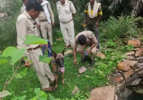 नीमच के रतनगढ़ वन परिक्षेत्र में मृतावस्था में मिला तेंदुआ, जांच में हत्या की पुष्टि, 2 लोग गिरफ्तार