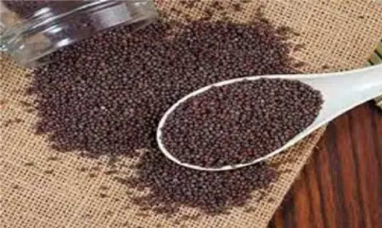 स्वास्थ्य के लिए राई बेहद फायदेमंद हो सकती, जानिए इसके लाभ 