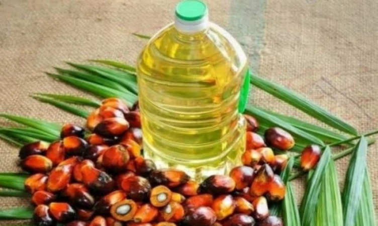 Palm Oil Export: देश में खाद्य तेल का पर्याप्त भंडार, इंडोनेशिया में निर्यात प्रतिबंध लगने का नहीं होगा असर